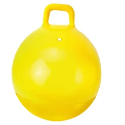 Skippyballen>Alert Outdoor Skippy Bal 60 cm 2 Assorti