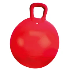 Skippyballen></noscript>Alert Outdoor Skippy Bal 60 cm 2 Assorti