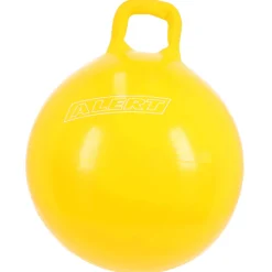 Skippyballen></noscript>Alert Outdoor Skippy Bal 60 cm 2 Assorti
