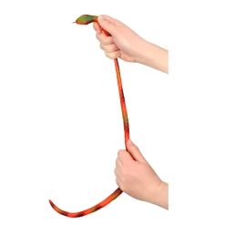 Fidget Toys> Amazing Cool Stretchy slang klein assorti