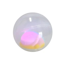 Auto's><noscript><img width=