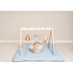 Babygym></noscript> Babygym Forest Friends Fsc