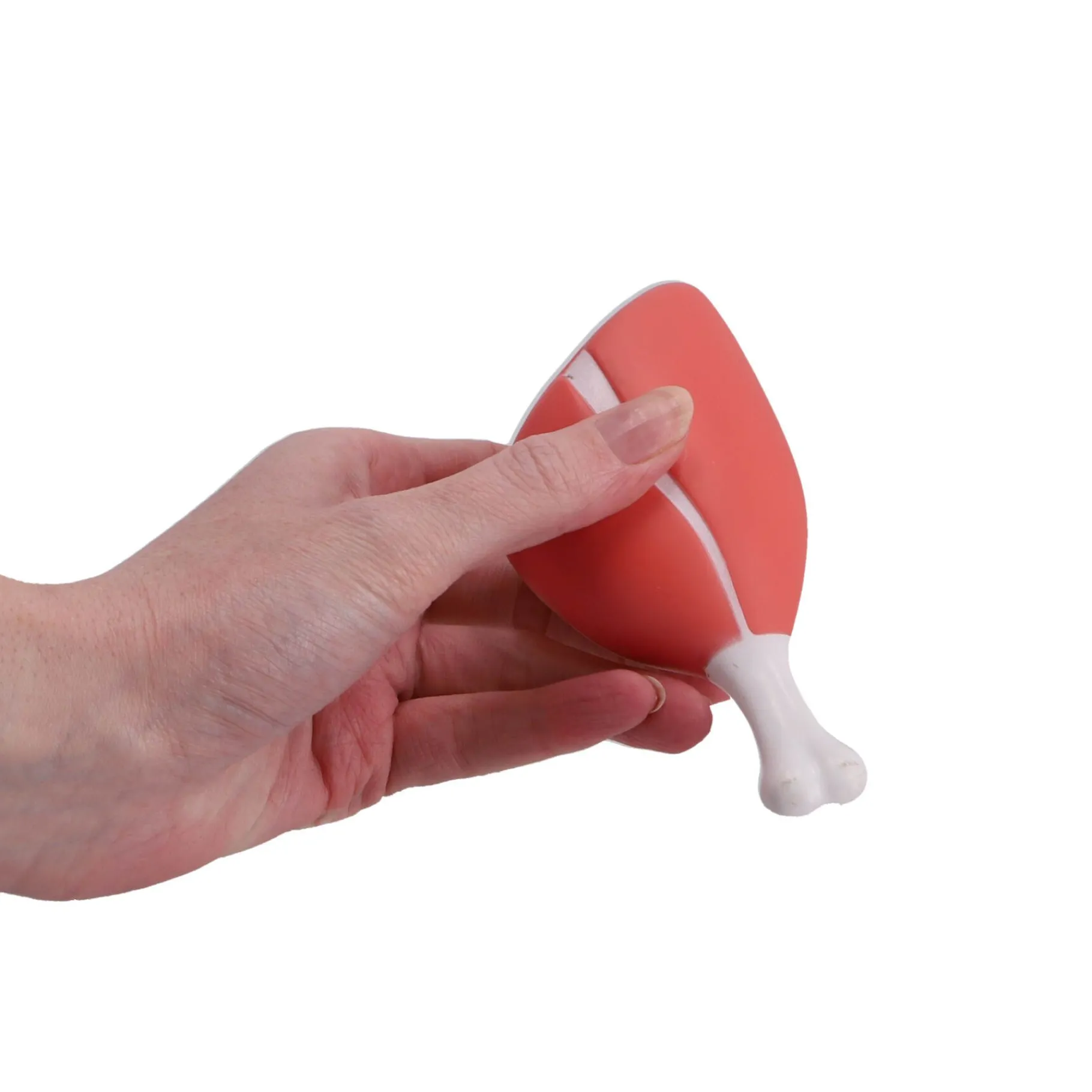 Dino's|Jongens>Dino Base Dinobase Functie Dino blauw groot