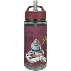 Schoolbekers En Broodtrommels> Drinkfles Harry Potter