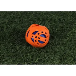 Speelballen><noscript><img width=