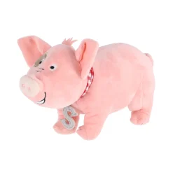 Overige><noscript><img width=