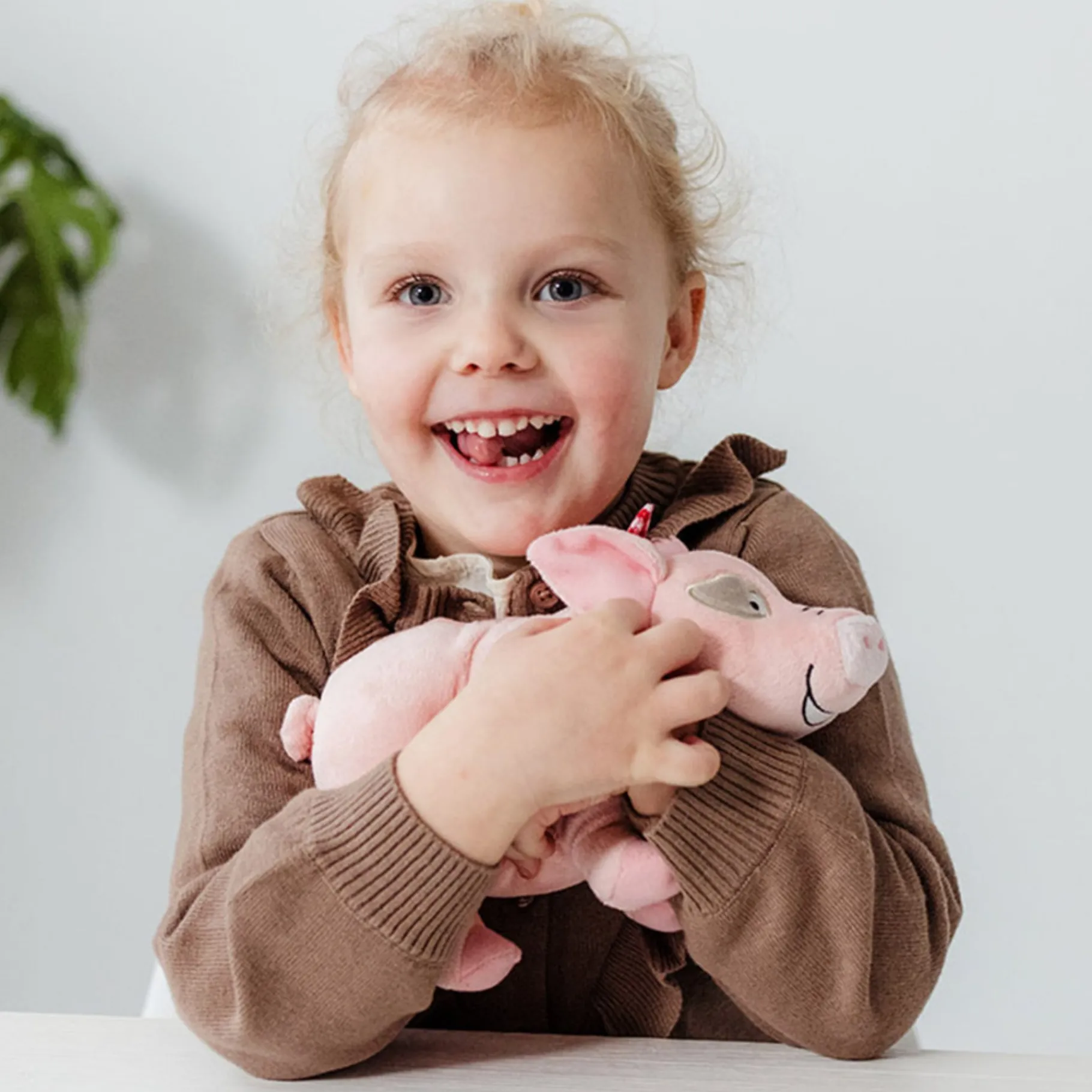 Overige> Fien en Teun pluche Sebastiaan 22 cm