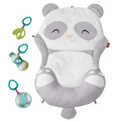Baby Speelkleden>Mattel Fisher Price Alles In Een Pandaspeelmat