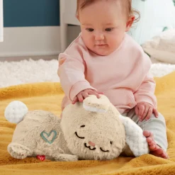 Babyspeelgoed></noscript> Fisher Price Soothe And Settle Bunny