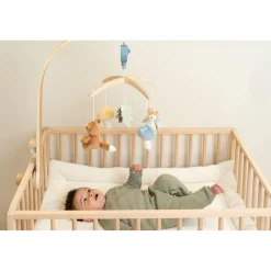 Muziekmobiels><noscript><img width=