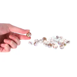 Knikkers><noscript><img width=