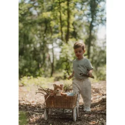 Babyspeelgoed></noscript> Kofferset Forest Friends Blue