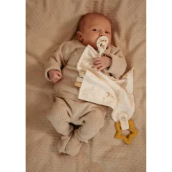 Bijtringen><noscript><img width=