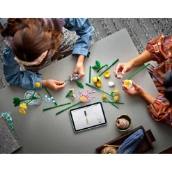 Bouwstenen|Jongens></noscript>LEGO 10347 Botanicals Klein Zomers Boeket