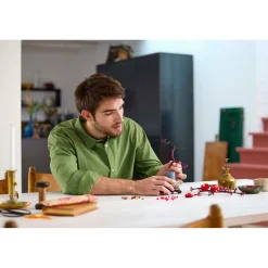 Bouwstenen></noscript>LEGO 10369 Icons Japanse abrikoos