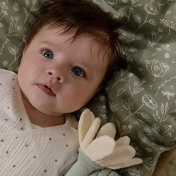 Rammelaars><noscript><img width=