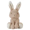 Babyspeelgoed> Little Dutch knuffel baby bunny 15 cm