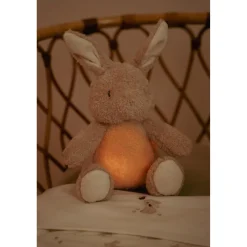 Babyspeelgoed> Little Dutch knuffelkonijn licht & geluid