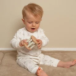 Rammelaars><noscript><img width=