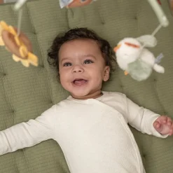 Muziekmobiels><noscript><img width=