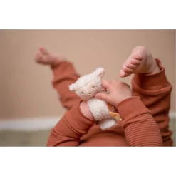 Rammelaars><noscript><img width=