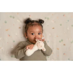 Rammelaars> Little Farm Rammelaar Schaap