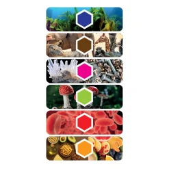 Jongens><noscript><img width=