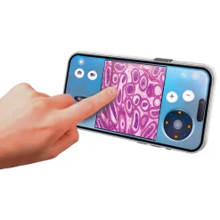 Jongens><noscript><img width=