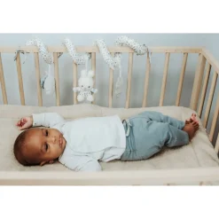 Boxhangers><noscript><img width=