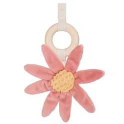 Babygym><noscript><img width=