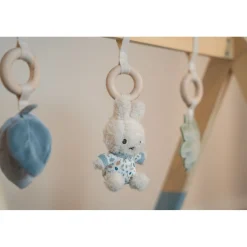 Babygym><noscript><img width=