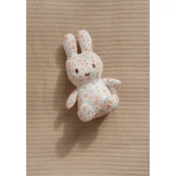 Overige><noscript><img width=