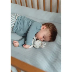 Plucheknuffels><noscript><img width=