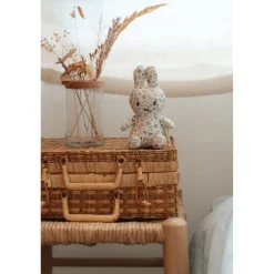 Plucheknuffels><noscript><img width=