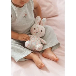 Plucheknuffels><noscript><img width=