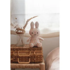 Plucheknuffels><noscript><img width=