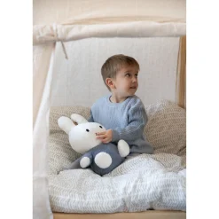 Plucheknuffels><noscript><img width=