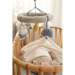 Muziekmobiels><noscript><img width=