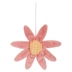 Muziekmobiels><noscript><img width=