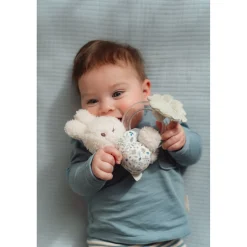 Rammelaars></noscript> Nijntje Ringrammelaar Lucky Leaves