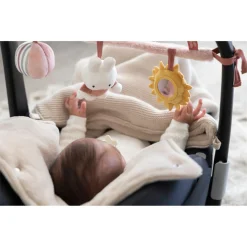 Buggyhangers En Wagenspanners><noscript><img width=