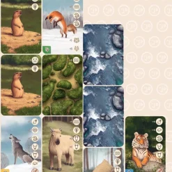 Kaartspellen><noscript><img width=