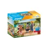Bouwpakketten>Playmobil 71427 Family Barbecue