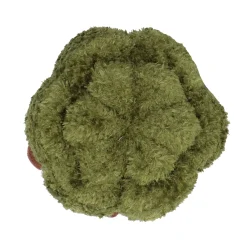 Overige><noscript><img width=