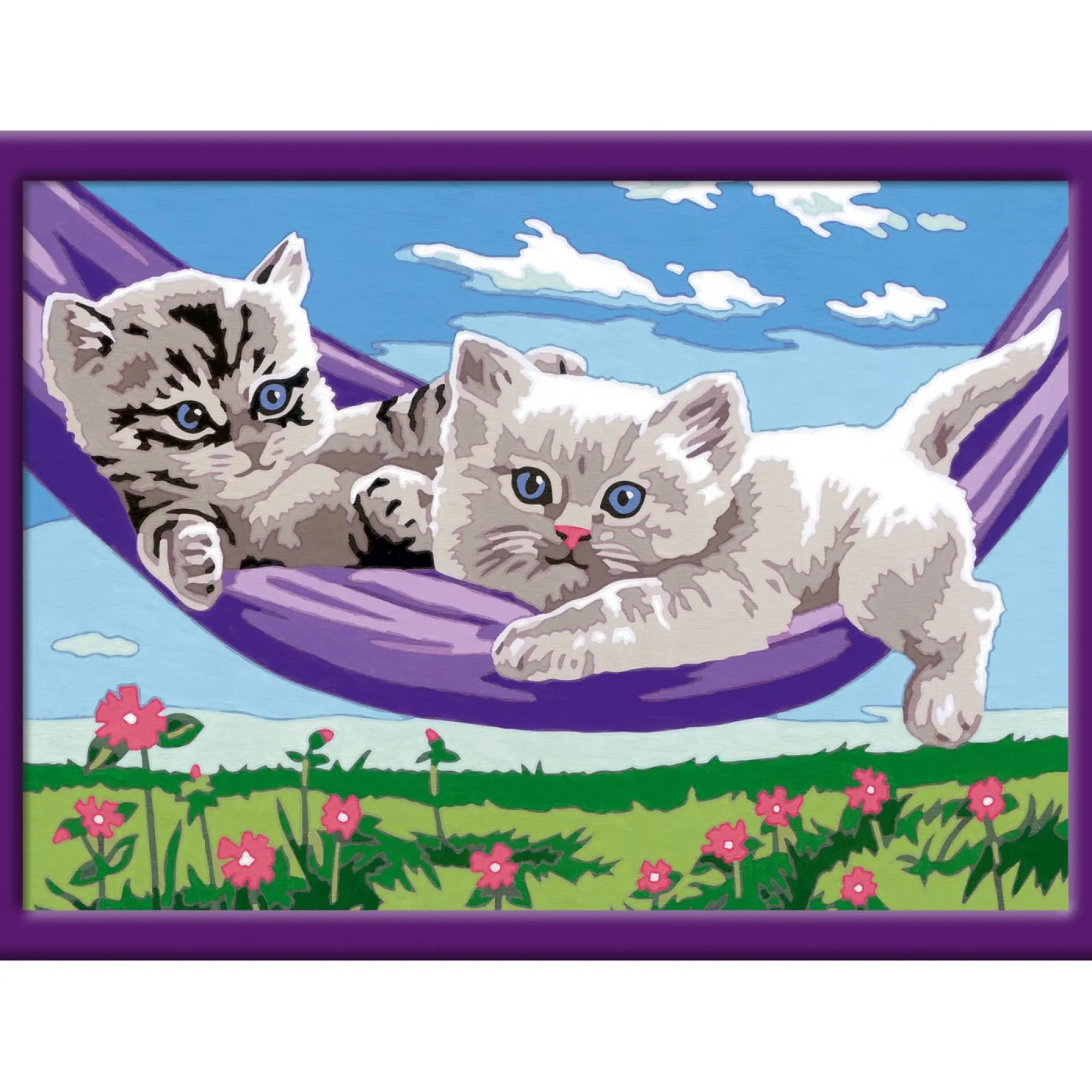 Verven / Schilderen>Ravensburger Creart schilderen op nummer kittens in hangmat