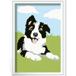 Verven / Schilderen>Ravensburger Creart schilderen op nummer border  collie