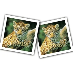 Memory><noscript><img width=