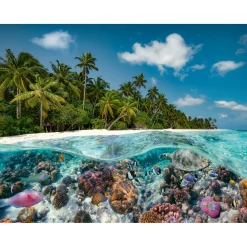 Legpuzzels> Ravensburger puzzel "Een duik op de Maledieven" stukjes