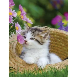 Legpuzzels> Ravensburger puzzel poezen 2 x 500 stukjes