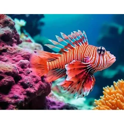 Legpuzzels> Ravensburger Puzzel Rode Koraalduivel 500 Stukjes